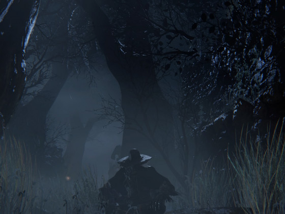 Bloodborne - Chillin in the wood