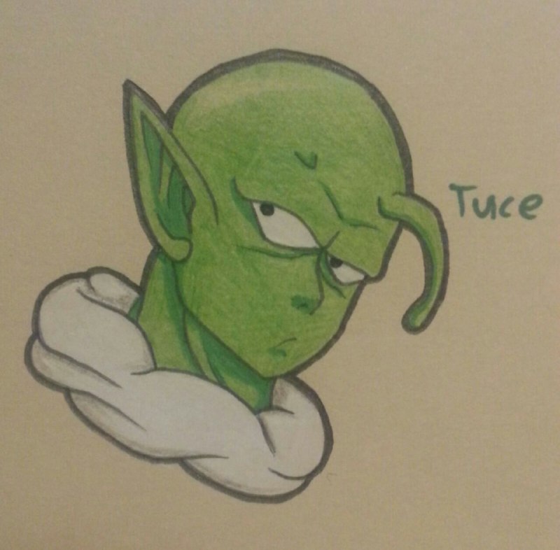 Tuce - Auftrag