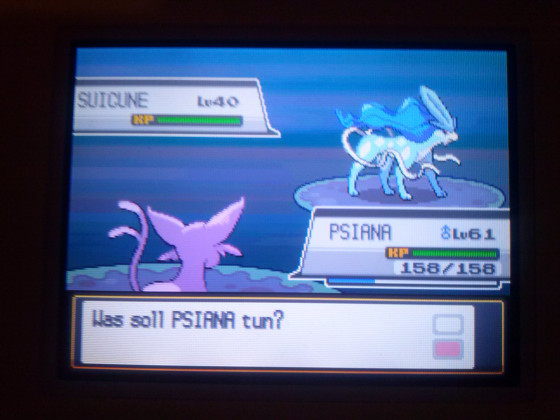 Shiny Suicune! SS