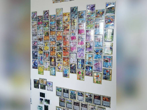Meine Pokémon-Wand