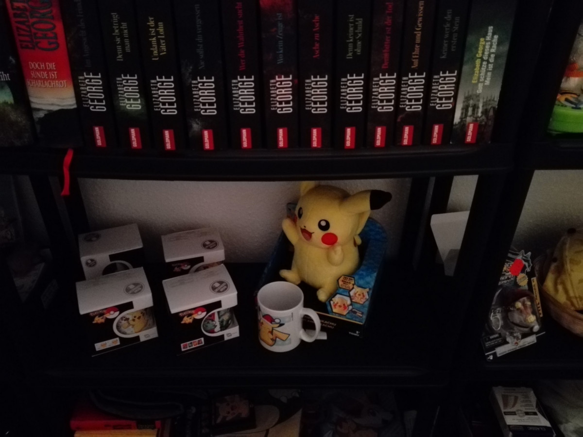 Leseratte Pikachu