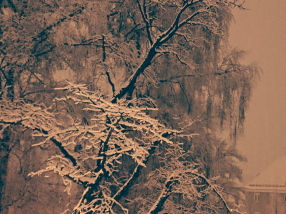 winterwonderland vor der Tür :)