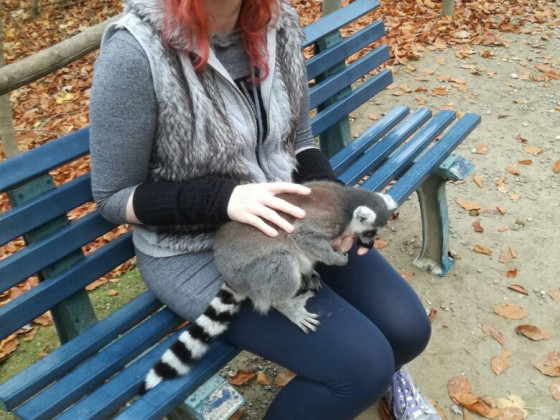 Ich und ein Lemur :3