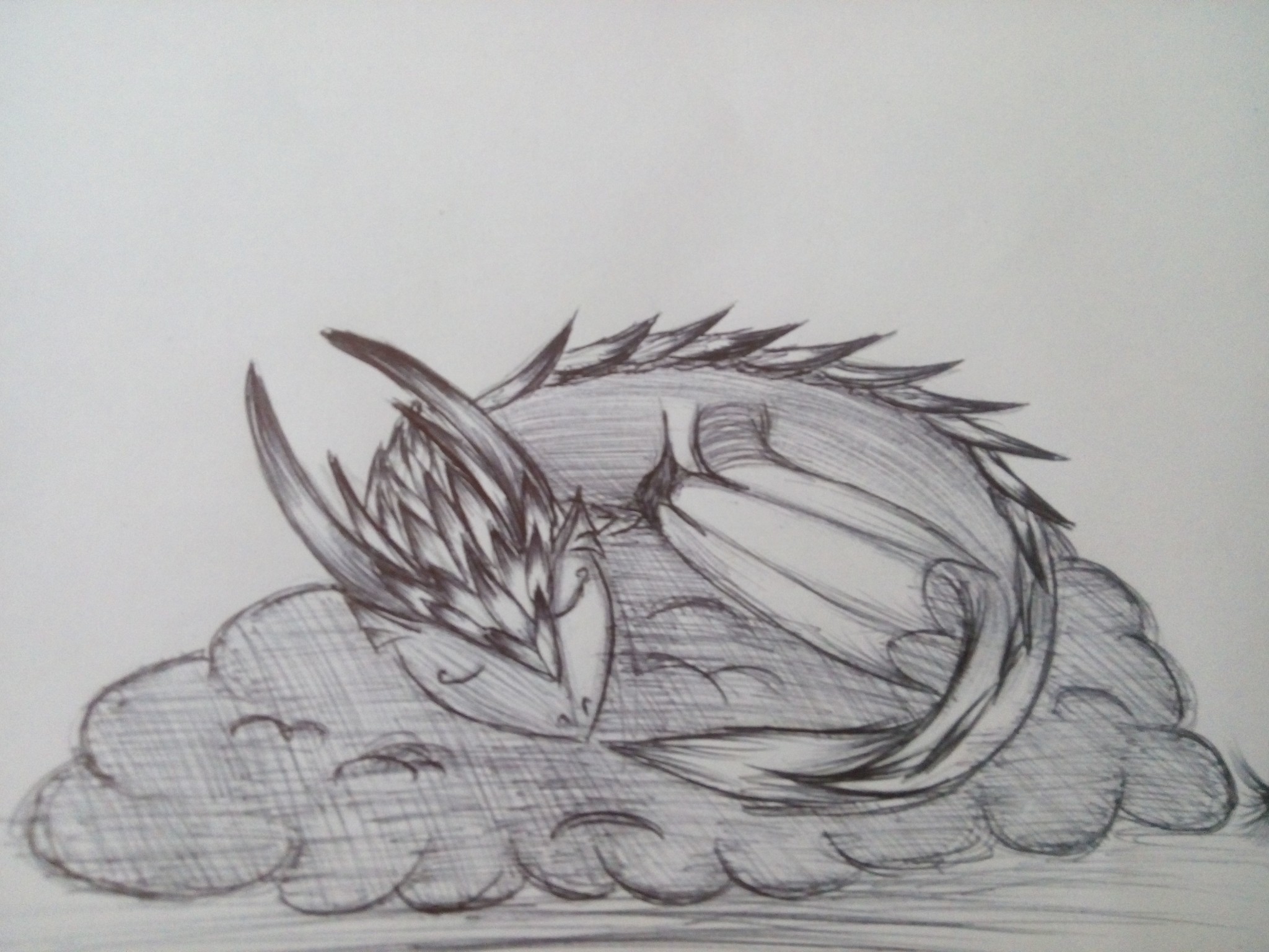 sleepy dragon