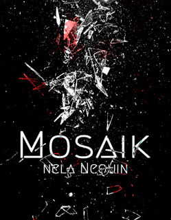 Cover Mosaik Klein