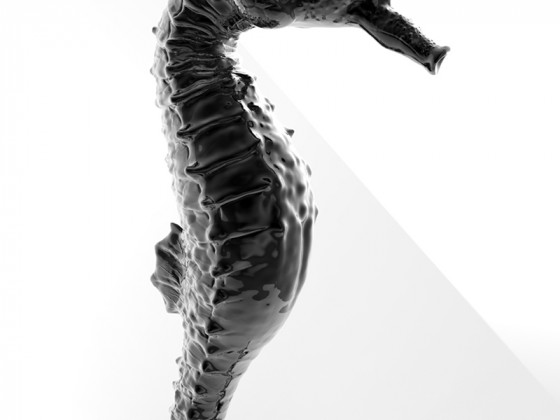 Seahorse 3D Sculpt