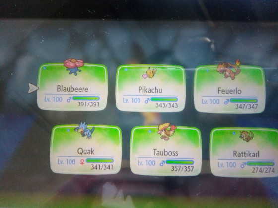 Mein Team (Let's Go Pikachu)
