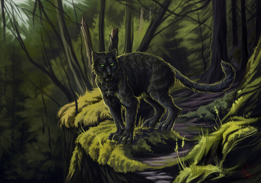 Rajani ~ Forest Predator
