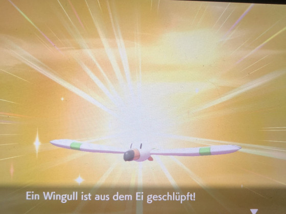 Shiny Wingull