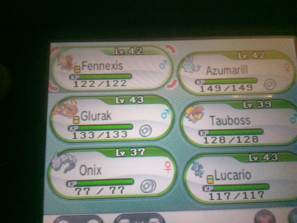Mein Team in Pokémon X