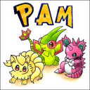 Avatar PAM-Team