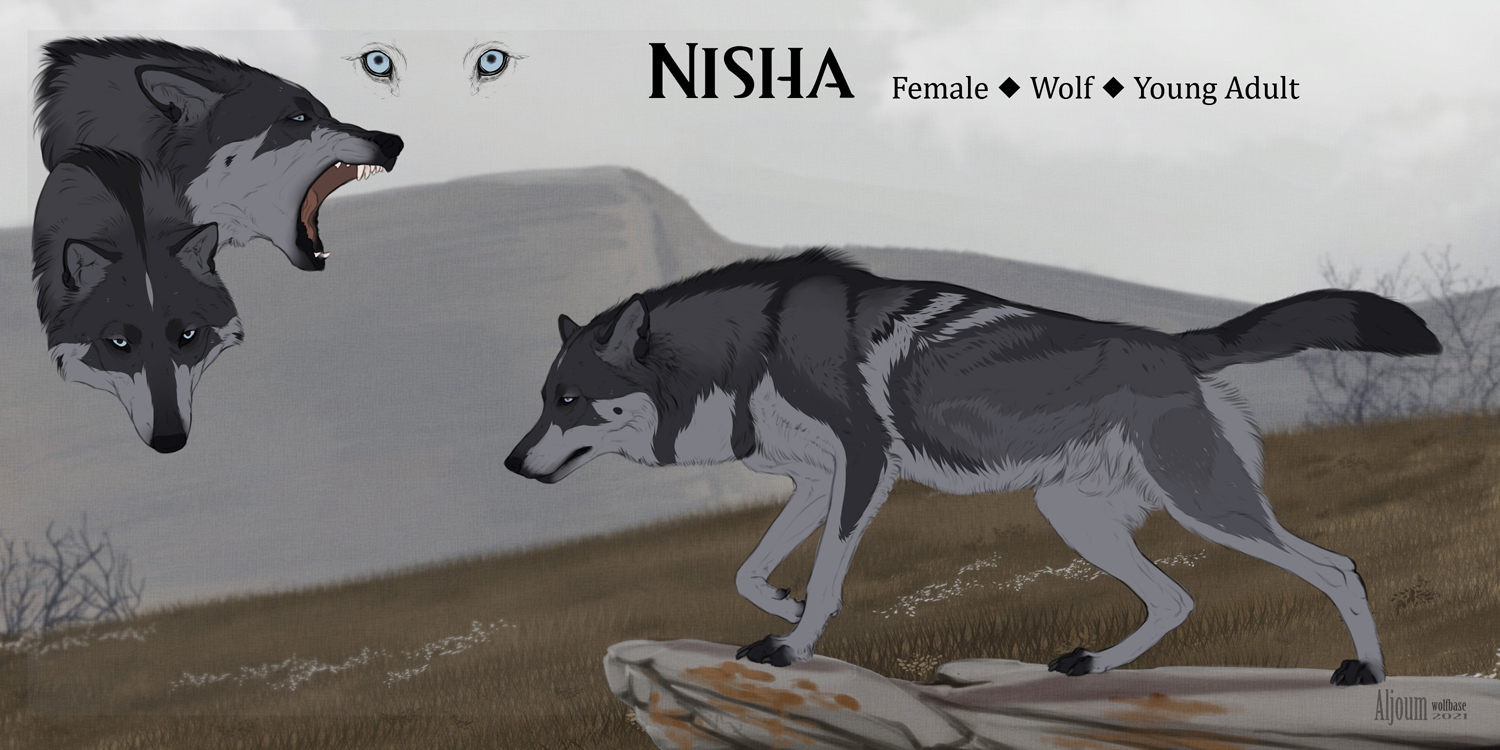 Nisha ~ Reference Sheet