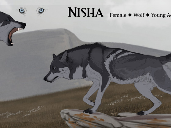 Nisha ~ Reference Sheet