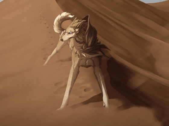 Akira ~ Dune Wanderer