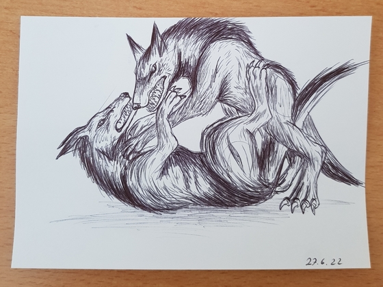 Kämpfende Wölfe (10 Minuten-Zeichnung)