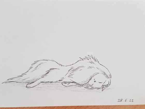 Schlafende Katze (10 Minuten-Zeichnung)