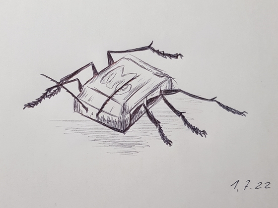 Schoko-Käfer (10 Minuten-Zeichnung)