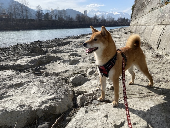 Kiko am Fluss