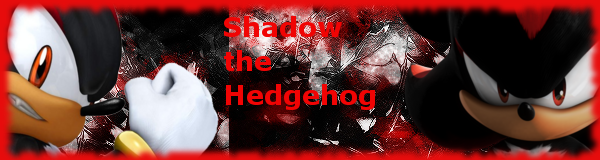 Shadow the Hedgehog Banner