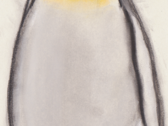 Pinguin 3.0