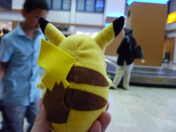 Pikachus reise in die türkei