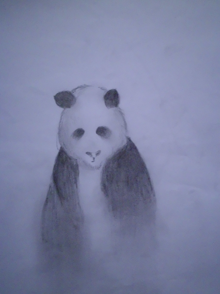 Pandabär'chen & so