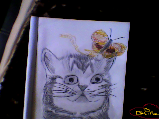 Meine gezeichnete Katze und butterfly ♥