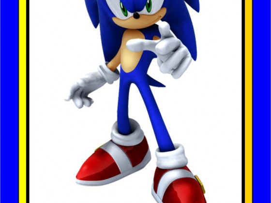 Sonic Hauptfigur