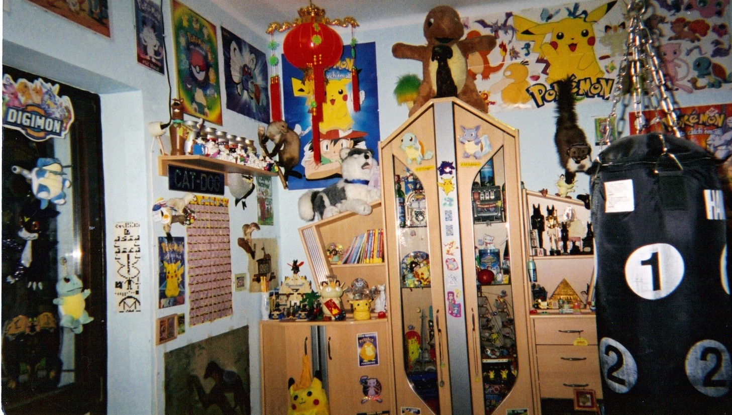 Mein Zimmer vor vielen Jahren 1