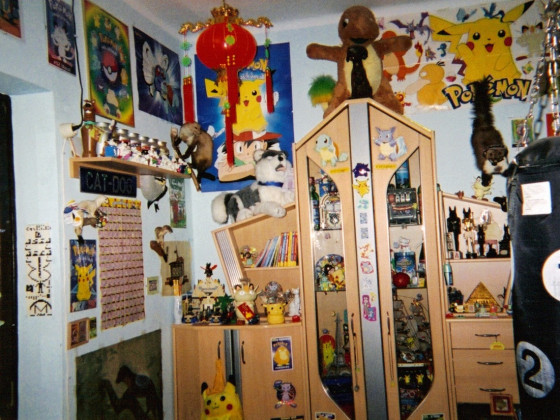 Mein Zimmer vor vielen Jahren 1