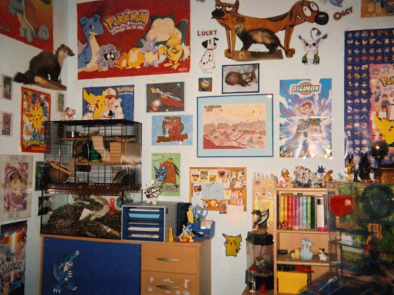 Mein Zimmer vor vielen Jahren 2