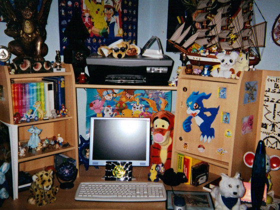 Mein Zimmer vor vielen Jahren 3