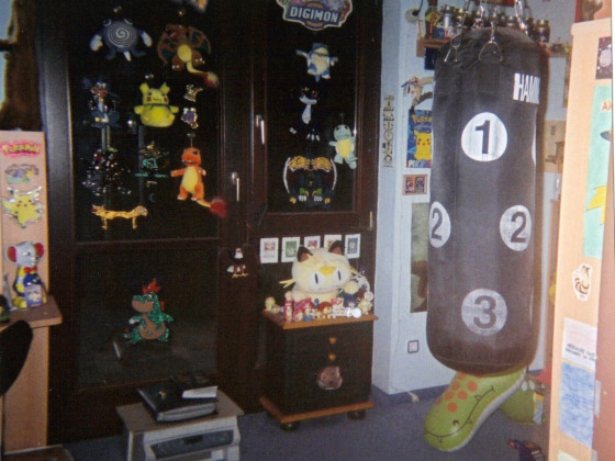 Mein Zimmer vor vielen Jahren 4