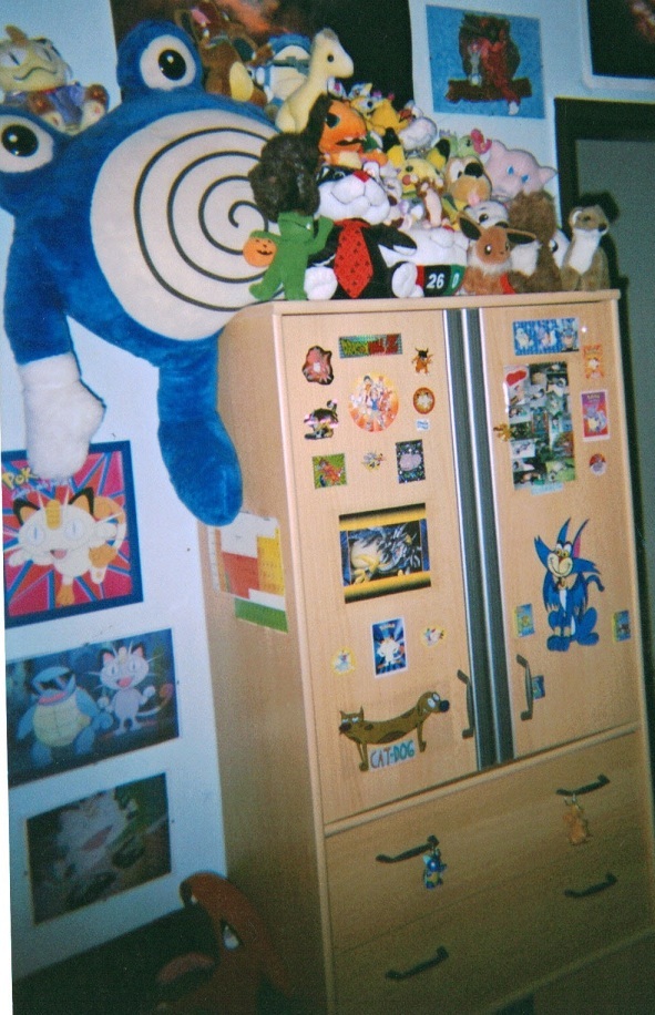 Mein Zimmer vor vielen Jahren 5