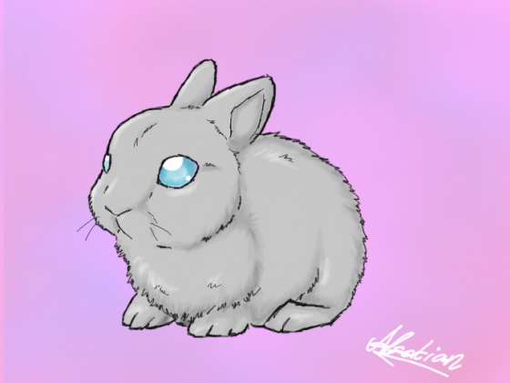Baby Kaninchen :3