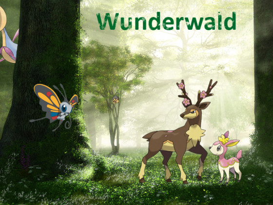 Wunderwald