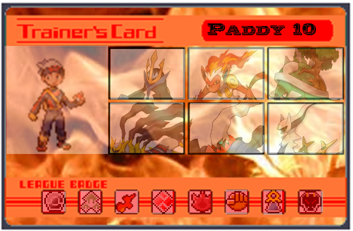 Trainer Card Paddy