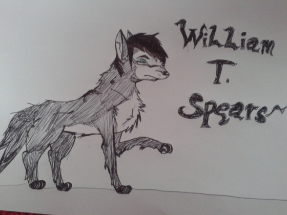 william T. Spears Wolf