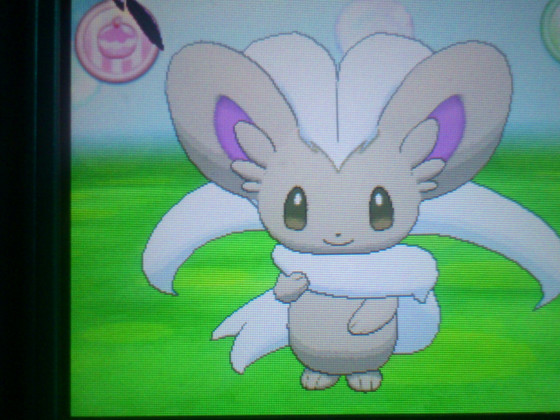 Shiny Chillabell ♥