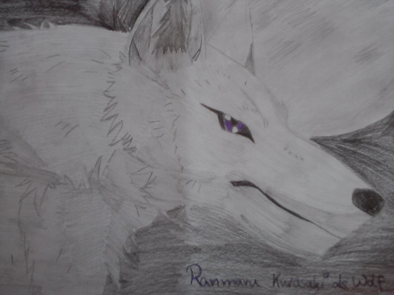 Ranmaru_Wolf