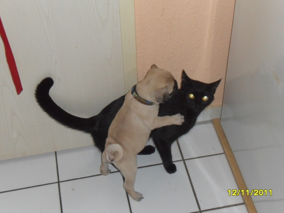Kitty und Hugo
