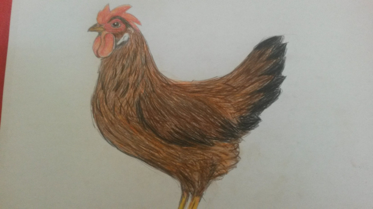 Ein Huhn