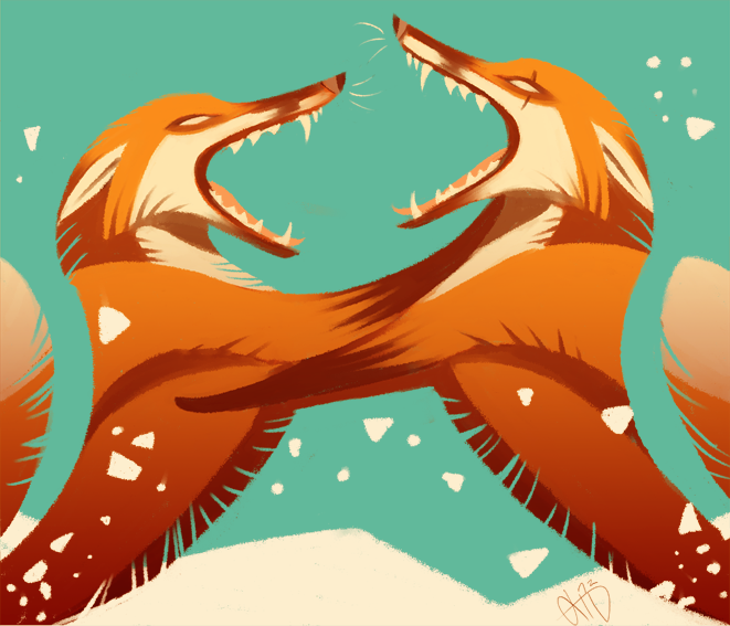 Fox Fight