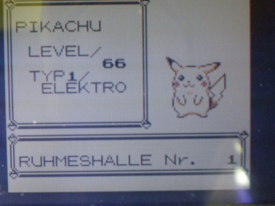 back to the roots; Pokémon Gelb beendet