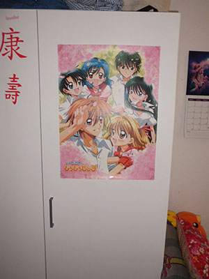Anime Sammlung