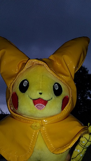 Pikachu hat sich Regen gewünscht :D