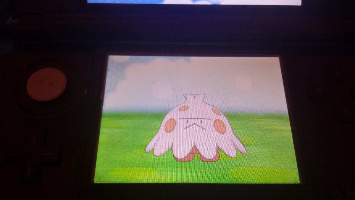 Shiny Knilz OuO
