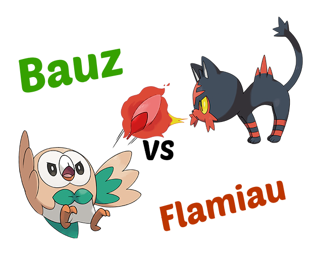 Bauz VS Flamiau