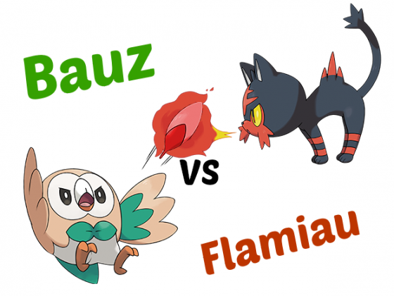 Bauz VS Flamiau