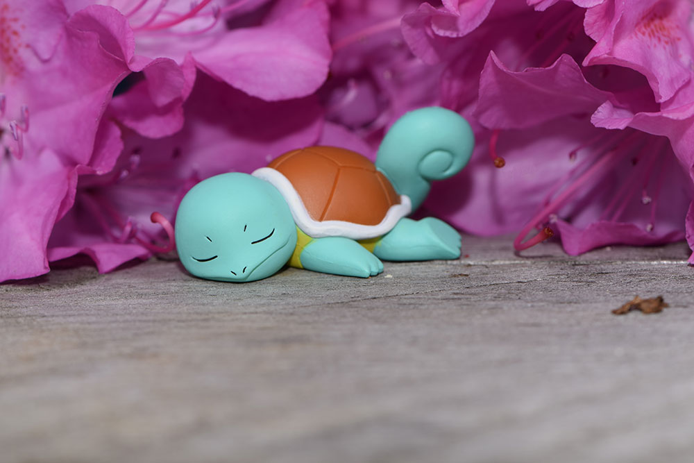16-005.2 Tired Squirtle